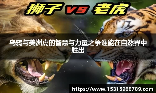 必一运动