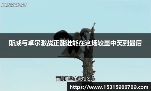 必一体育